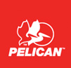 Pelican